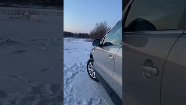 tiguan `
