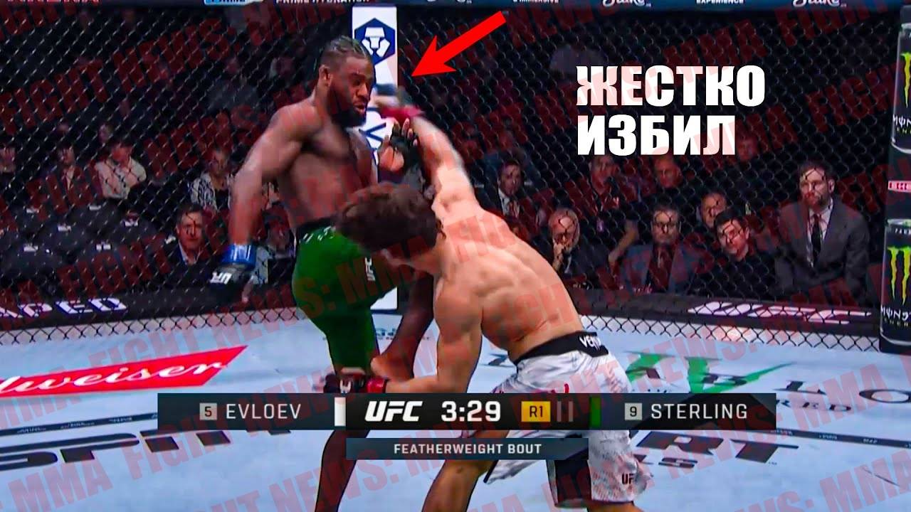 бой Мовсар Евлоев vs Алджэмейн Стерлинг UFC 310 смотреть онлайн