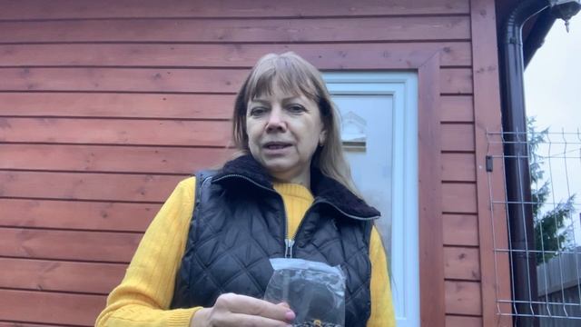 Домашнее видео | Мои плодовые деревья | дачный участок