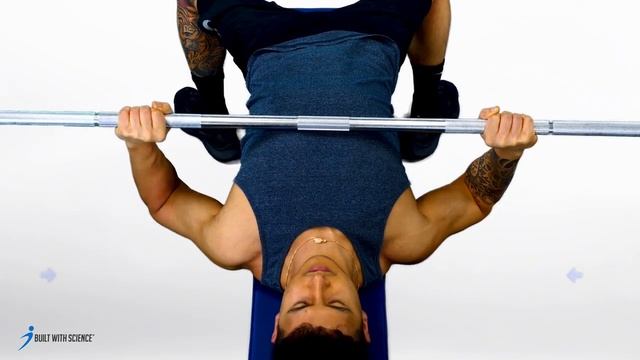 BWS Programs - Barbell Bench Press