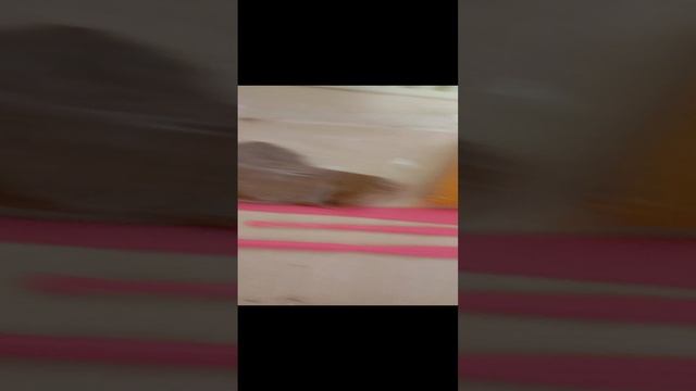 слепила медведя