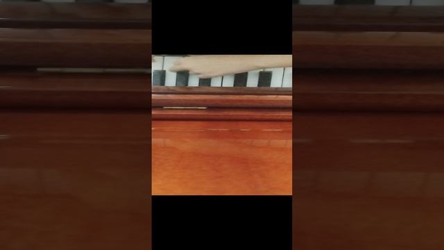 VID_20241208_131327.mp4 пианино