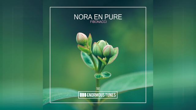 Nora En Pure - Fibonacci