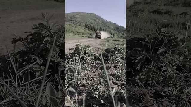 УРАЛ ЛЕСОВОЗ