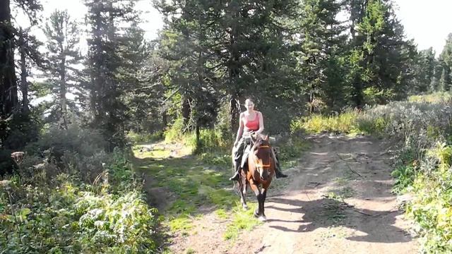 Горный Алтай 2012 г.