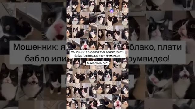 1000489059.mp4