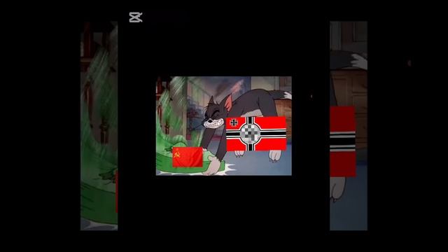 lv_0_20241208052504.mp4