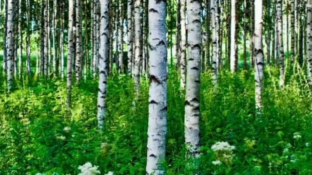 С любовью к деревне ВидеоВфоточках
