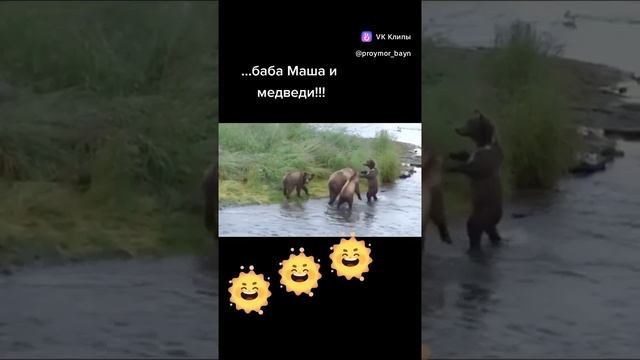 Медведи пришли в гости
