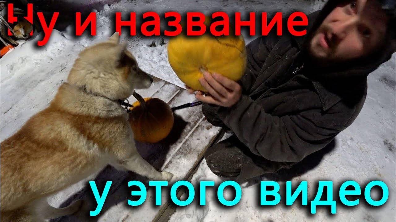 Козел жует метр восемьдесят на крыше под валящим снегом комп не тянет рендер.