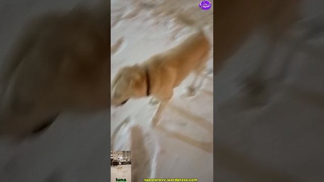 Эх, красота-то какая! Лепота!