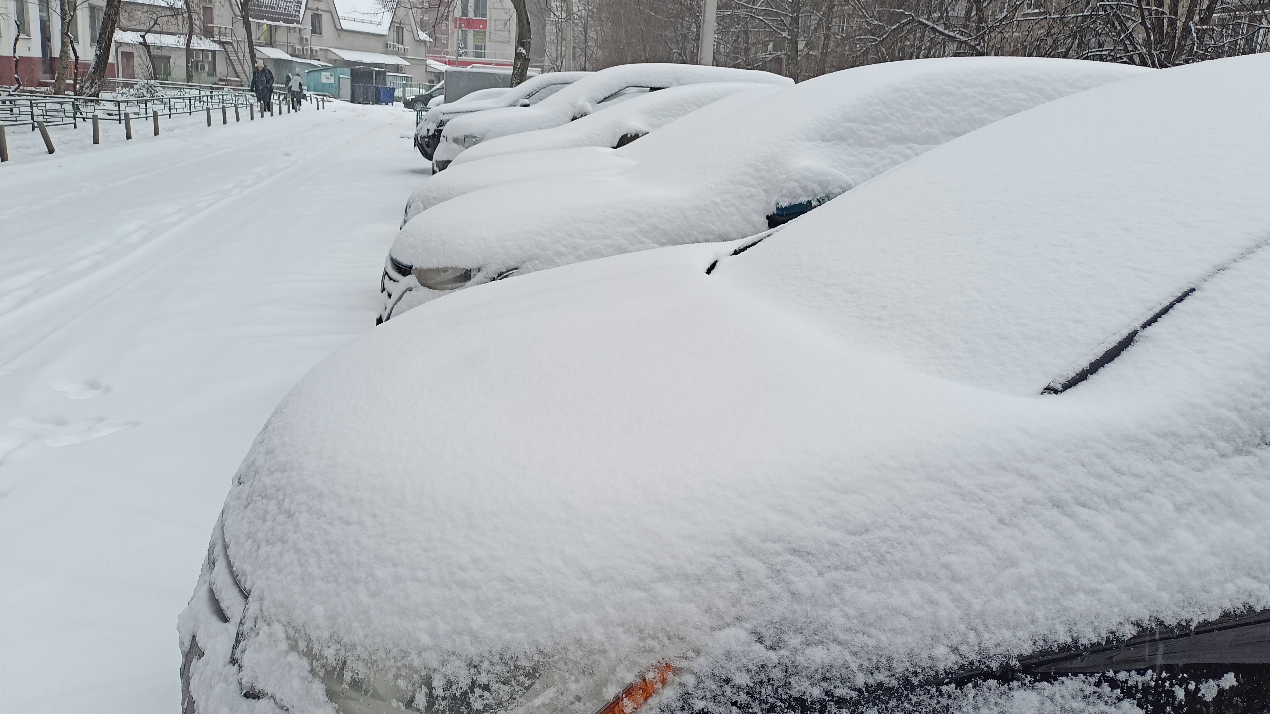 Влог.Подмосковье заметает.❄️