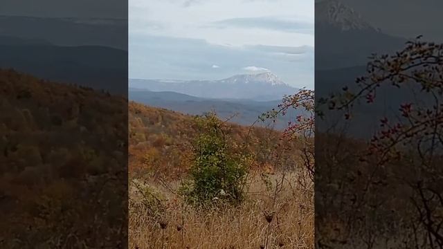 В село Высокое.01.11.22.