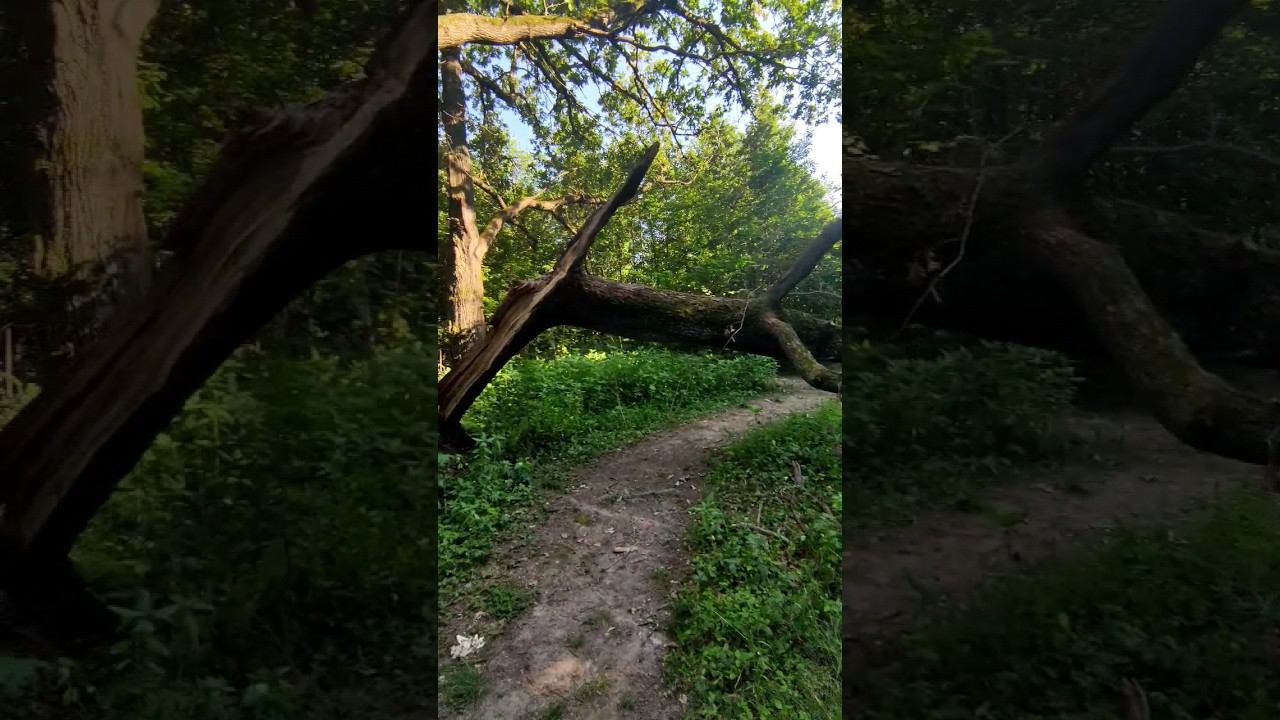 удивительно волшебное место