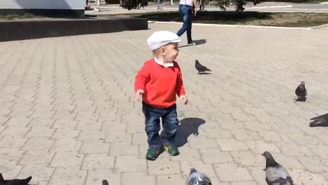 Тихон. Первое кормление голубей