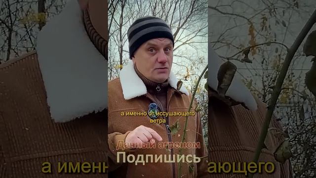 УКРОЙ их ОДЕЯЛОМ СЕЙЧАС