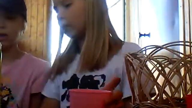 Смузи челлендж ! Пришлось съесть щавель с жуками