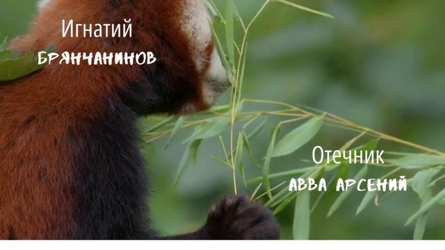 "Святитель Игнатий Брянчанинов: Подвиги Арсения Великого" (ч. 2)