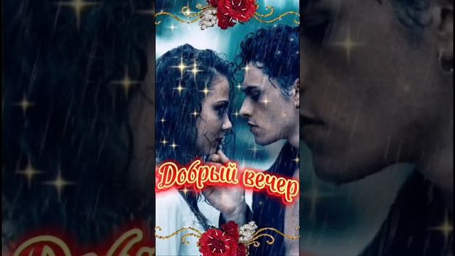 Video.Guru_20241208_170159838.mp4