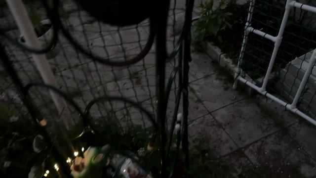 Летняя сказка