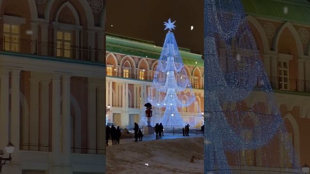 VID_20241208_132449_340.mp4