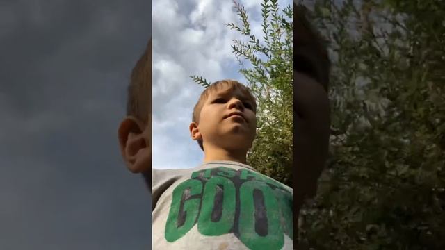 Моя собака поймала птицу (Блог)