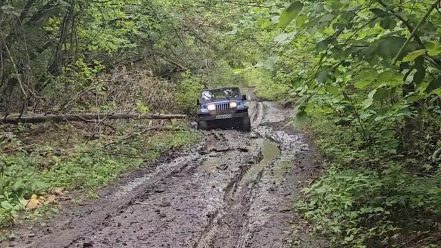 Лес,Рамено,Jeep Wrangler