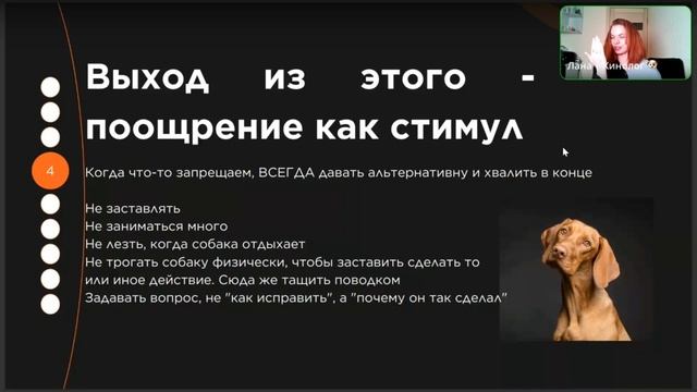 Как мотивировать собаку и себя на новые задачи? Как понять свою истинную мотивацию?