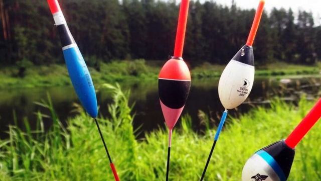 Почему Весну считают, лучшим временем для поплавочной рыбалки?