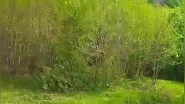 Заповедник в Ишимбай ском районе Башкортостана.