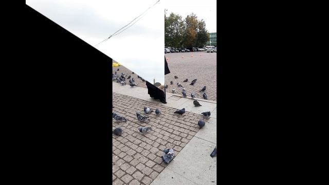 Сохраняя воспоминания