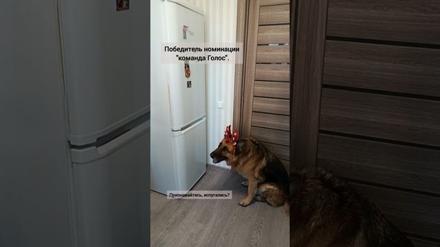 Волчара