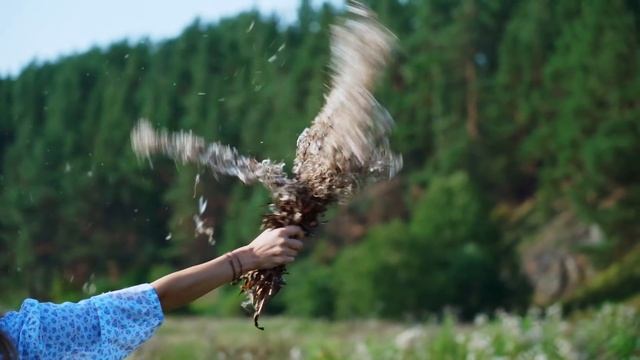КУПИЛ 2 ДОМА В ДЕРЕВНЕ _ ЖИЗНЬ В ДЕРЕВНЕ _ ГУСЛИ И ПРОЩАНИЕ С ЛЕТОМ