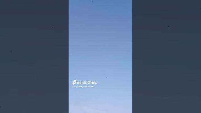 Ласточки высоко летают это к хорошей погоде