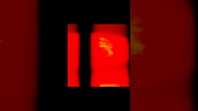 1000003993.mp4