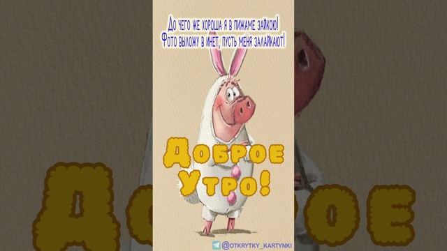 Смешная открытка на утро