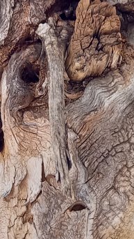 Включи воображение. Кого видешь ты?