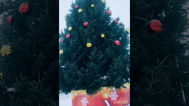 У нас много снега! Ребятишки на горке катаются! ❄🎄❤