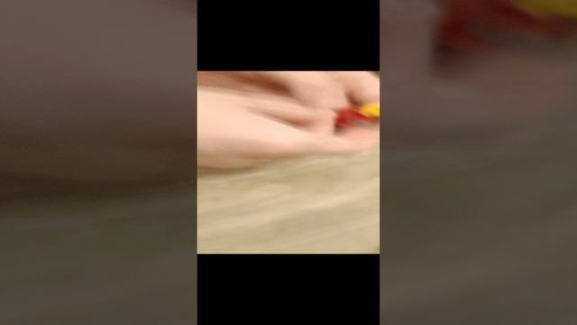 1000002984.mp4