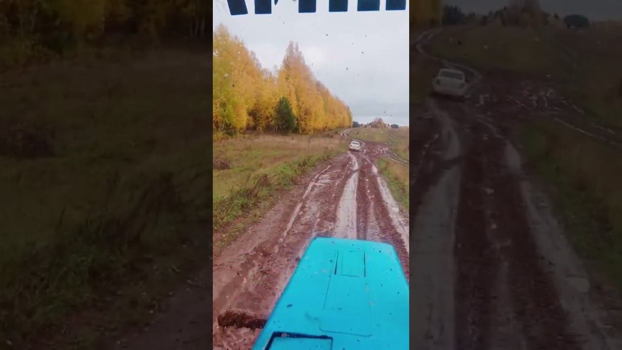 МТЗ 82 #мтз #farming #механизатор #agro #уборка #колхоз #agriculture