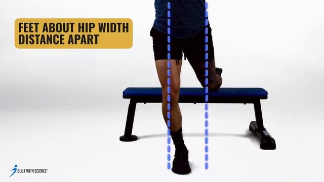 Lunges ALTERNATIVE - Bulgarian Split Squats (Glute Focused)