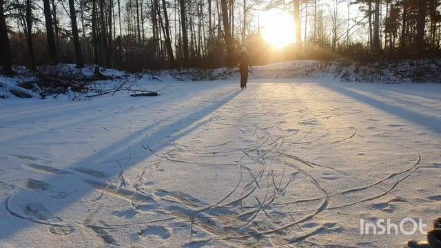 #коньки
