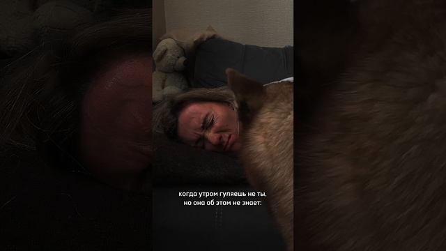 лучший будильник ❤