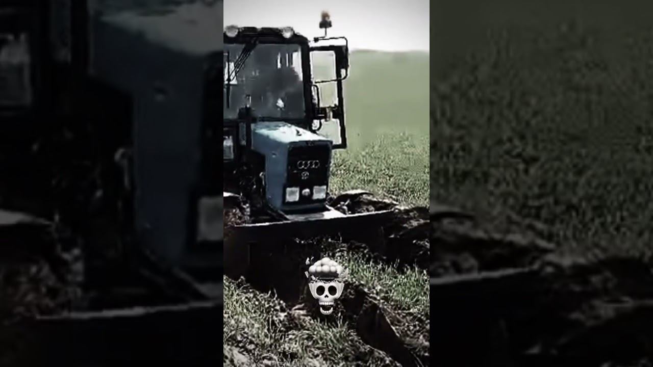 МТЗ -82 беларус #колхоз #лукашенко #беларусь #комбайн #farming