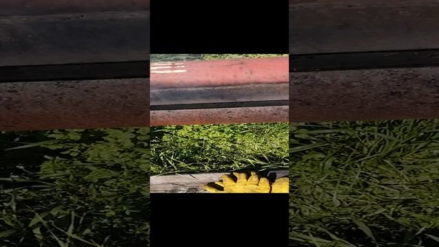 08-12-2024