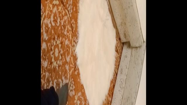 1000028146.mp4