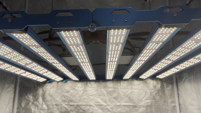 Kingbrite x55 650w