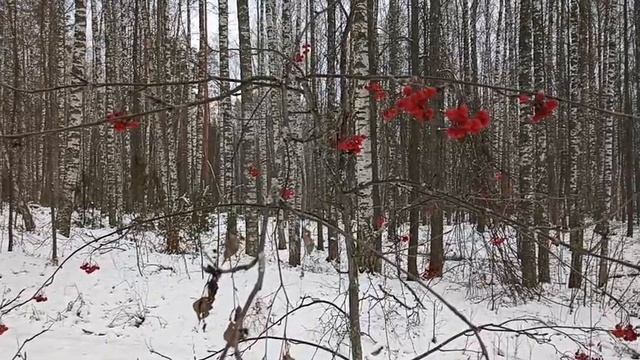 Что стоишь, качаясь, тонкая рябина.