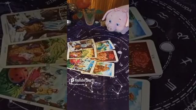СИЛА   ВАША  РАСКРЫВАЕТСЯ