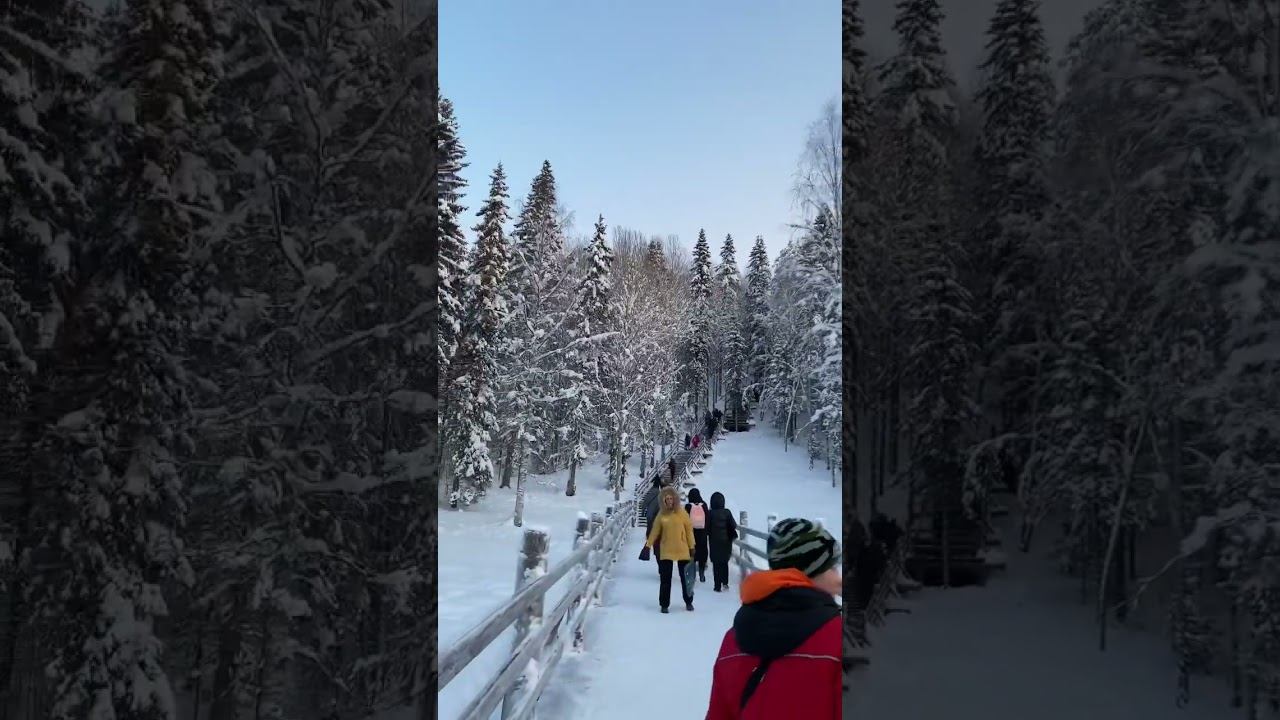 Arkhangelsk City  Russia  snowfall / Архангельск город Россия Снегопад